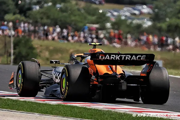 FIA Quick to Clarify McLaren Brake Issue