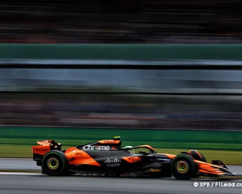 McLaren Urged to See Beyond Defeats by Stella