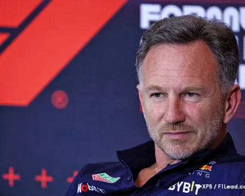 Horner Criticizes Penalty - Cites Norris’s Telemetry