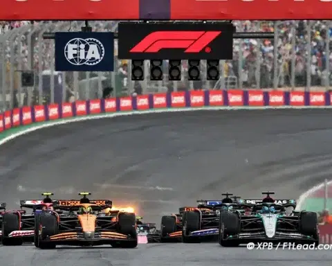 Stella Defends Norris After Confusing Interlagos Start Call