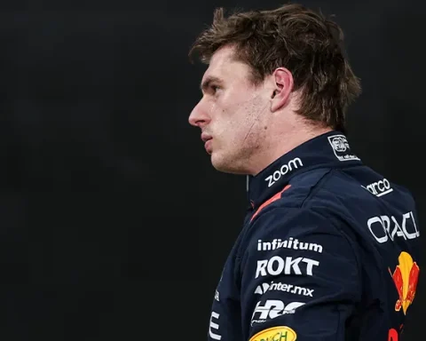 Stupid Idiots Verstappen Criticizes FIA Horner Responds