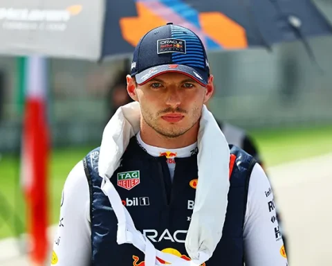 Verstappen’s FIA Community Service - Perfectly Fine